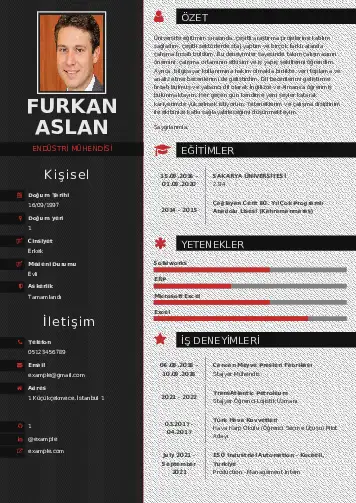 Endüstri Mühendisi CV Örnekleri cv indir